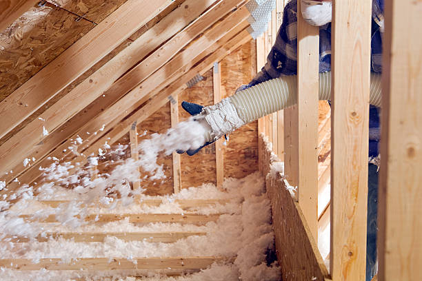 Eco-Friendly or Green Insulation Solutions in Fort Dodge, IA